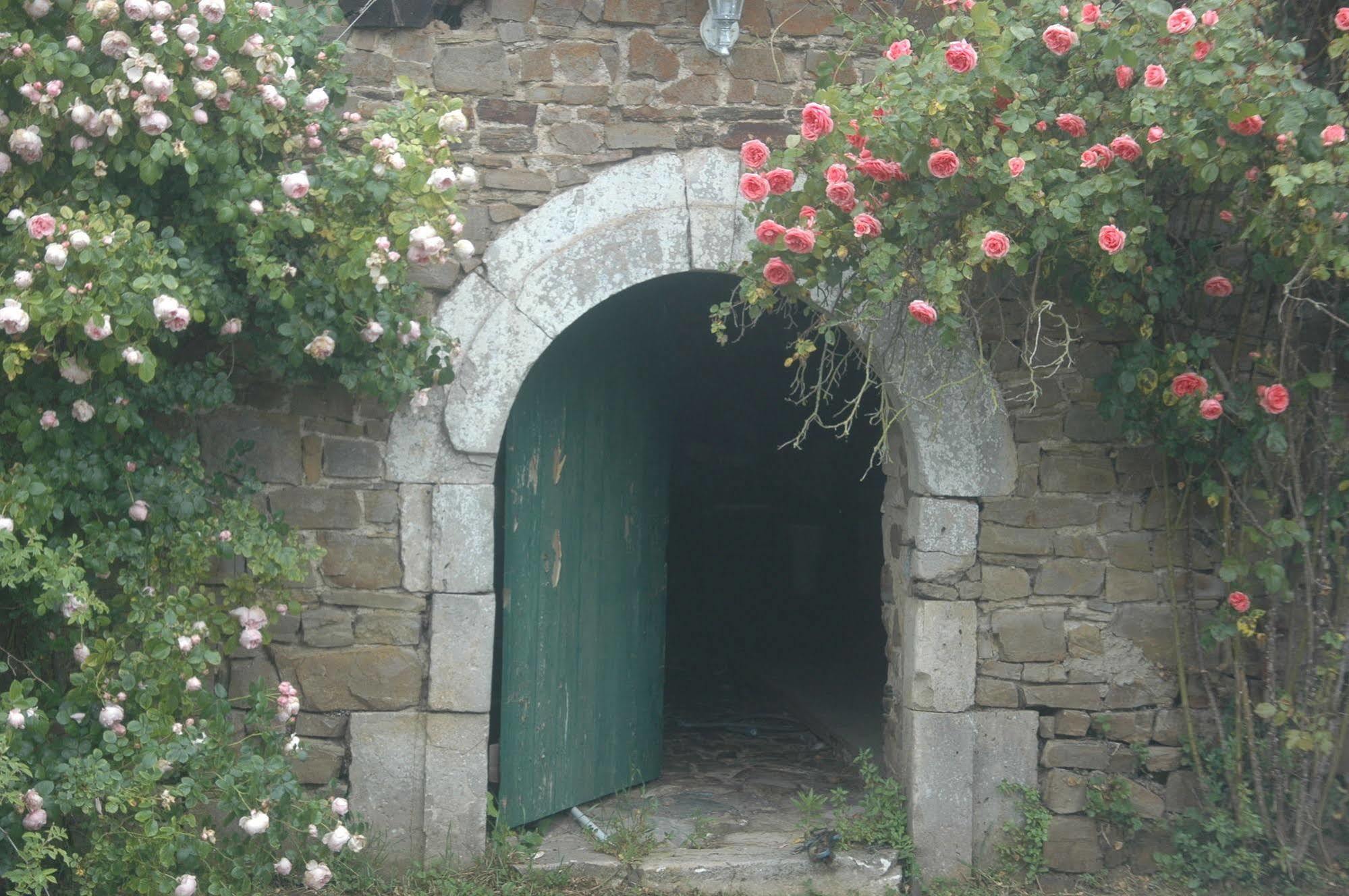 Le Chateau De Claids Saint-Patrice-de-Claids Eksteriør billede